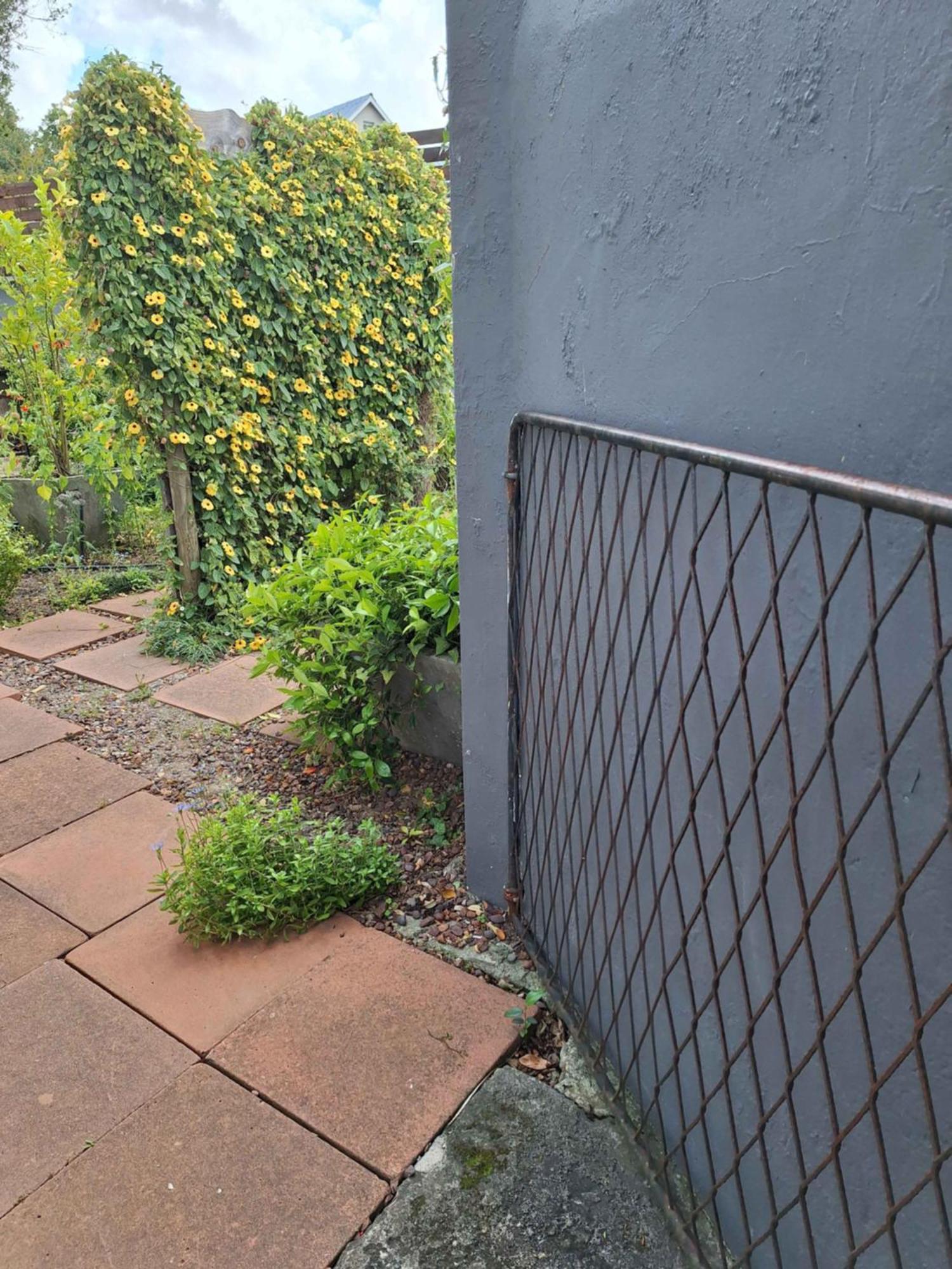 House Forget Me Not Apartment Bredasdorp Bagian luar foto
