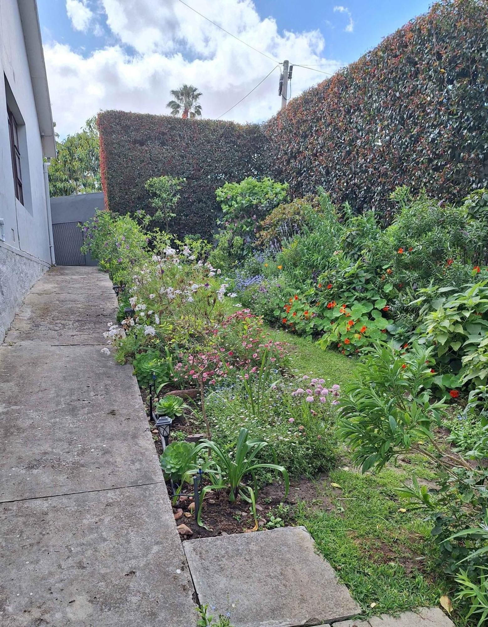 House Forget Me Not Apartment Bredasdorp Bagian luar foto